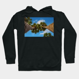 Two palms against blue cloudy sky Hoodie